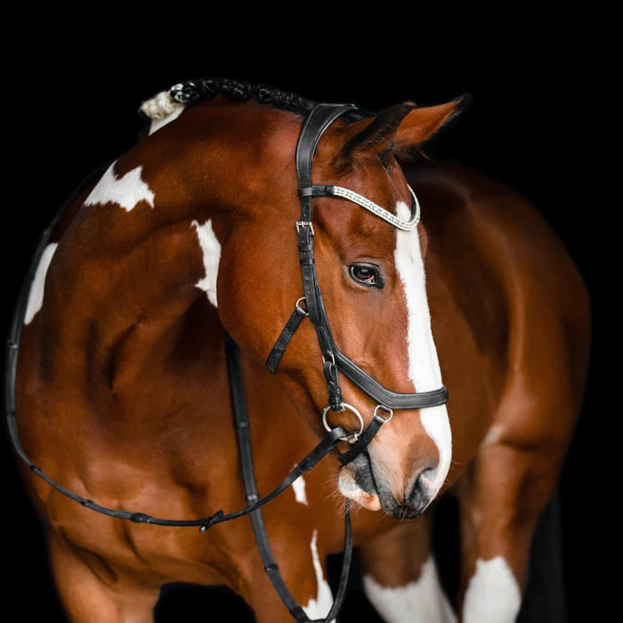 Lumiere Azure Anatomic Leather Bridle (Micklem Style) Black