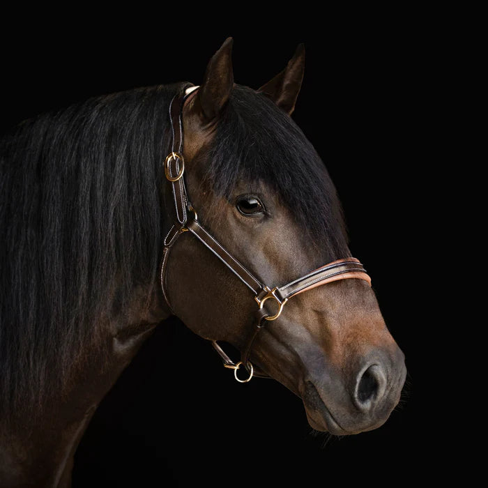 Lumiere 'Bella' Leather Halter - Full - Havana Brown