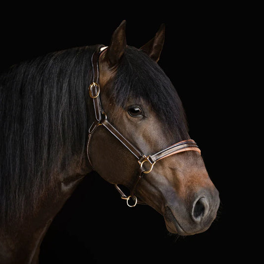 Lumiere 'Bella' Leather Halter - Full - Havana Brown