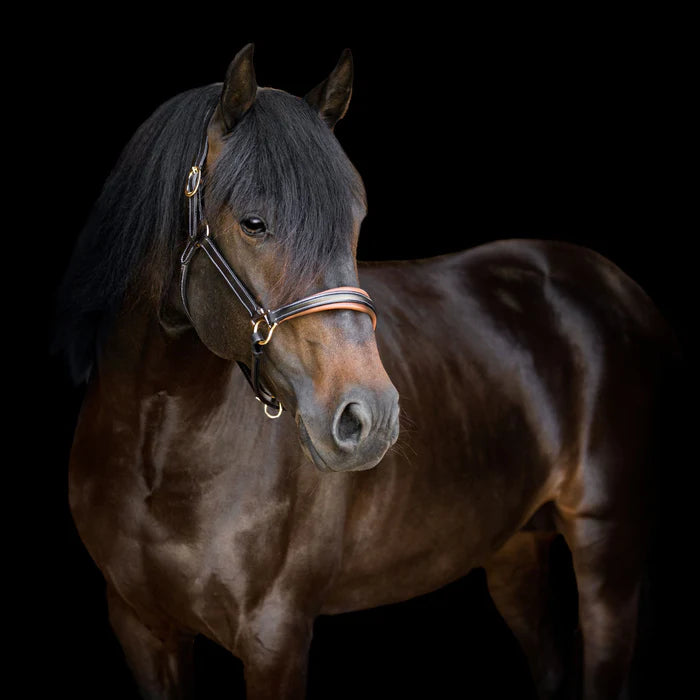 Lumiere 'Bella' Leather Halter - Full - Havana Brown