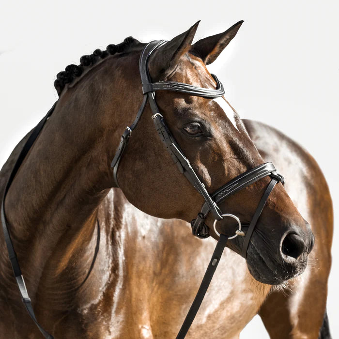 Lumiere Milan Leather Bridle - Convertible - Havana Brown/Cob