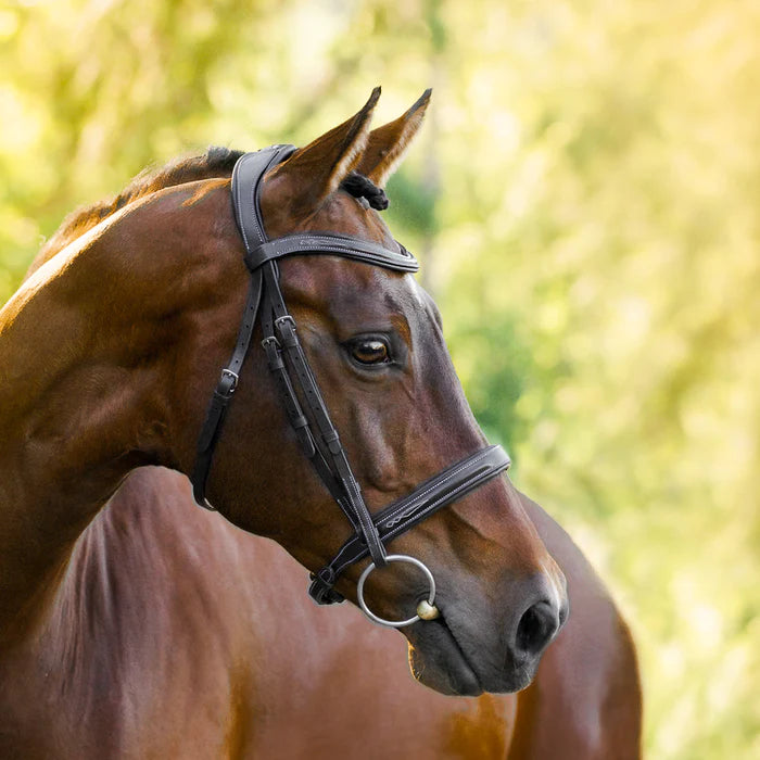 Lumiere Milan Leather Bridle - Convertible - Havana Brown/Cob