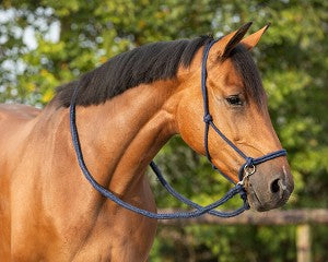 QHP Rope Halter with Reins - Navy/Full