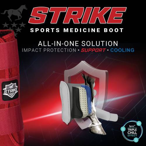 Professional's Choice Strike Sports Medicine Boot Front Large Pacific Blue