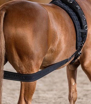 Waldhausen Body Bandage