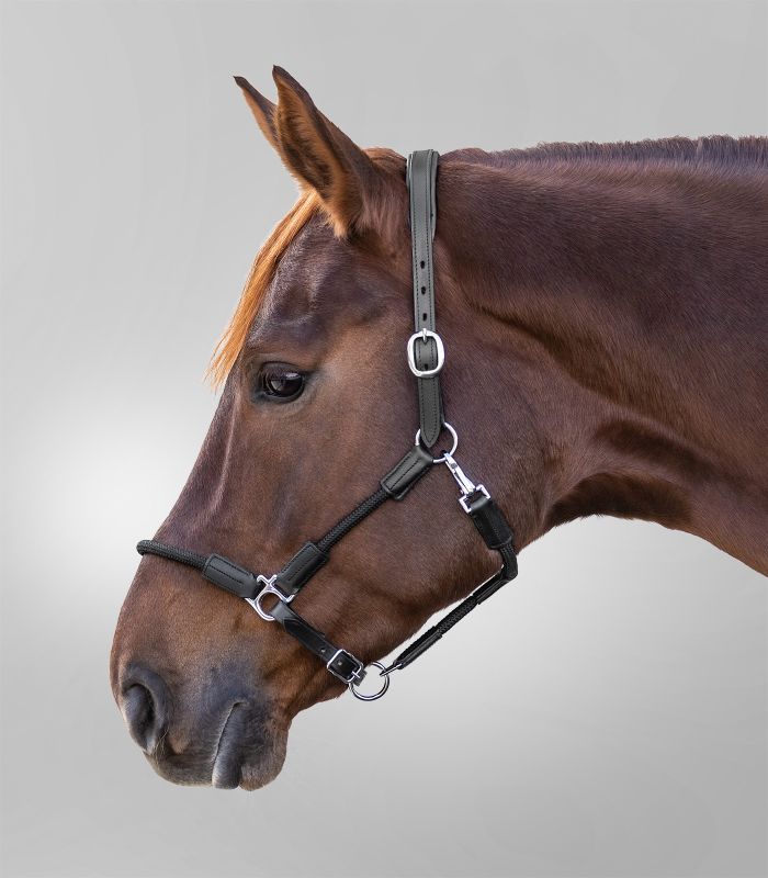 Waldhausen Nevada Halter - Pony - Black/Silver - CLEARANCE!! Reg $59.95