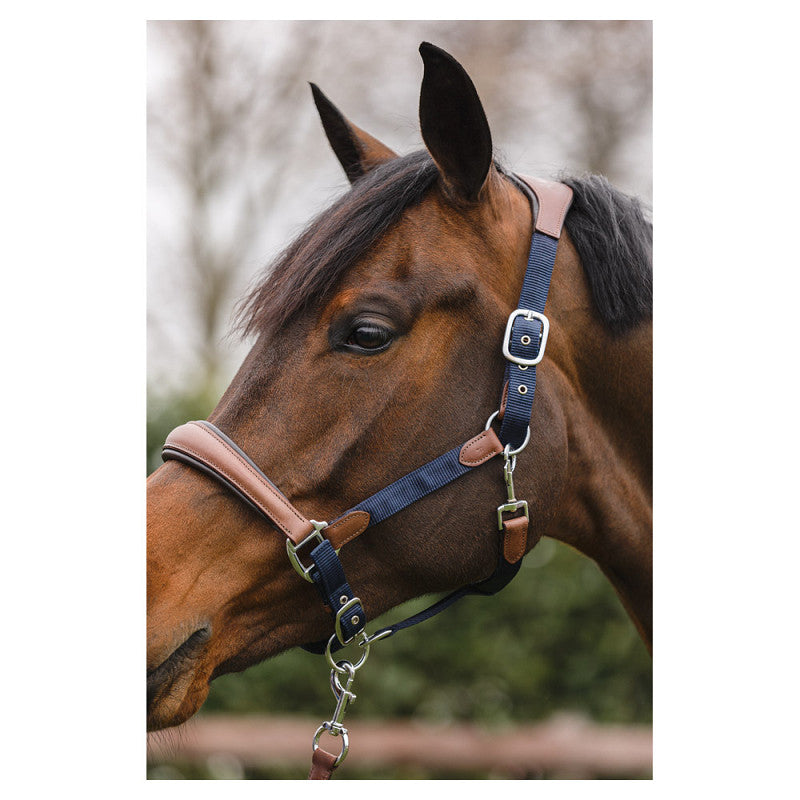 NEW - ANKY Halter ATH2207 with Lead - Nylon/Leather - Navy/Brown - Full
