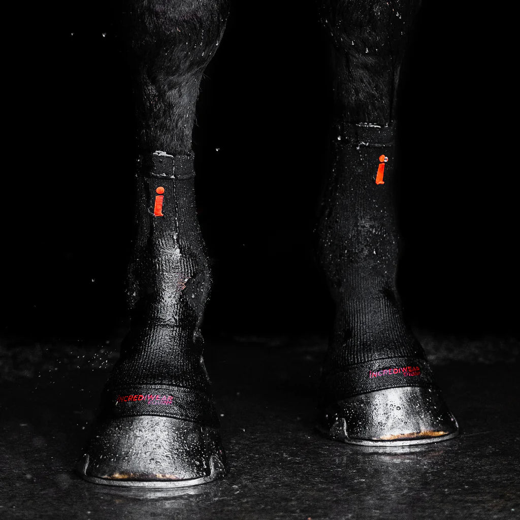 Incrediwear Equine Circulation Hoof Socks (Pair) Black