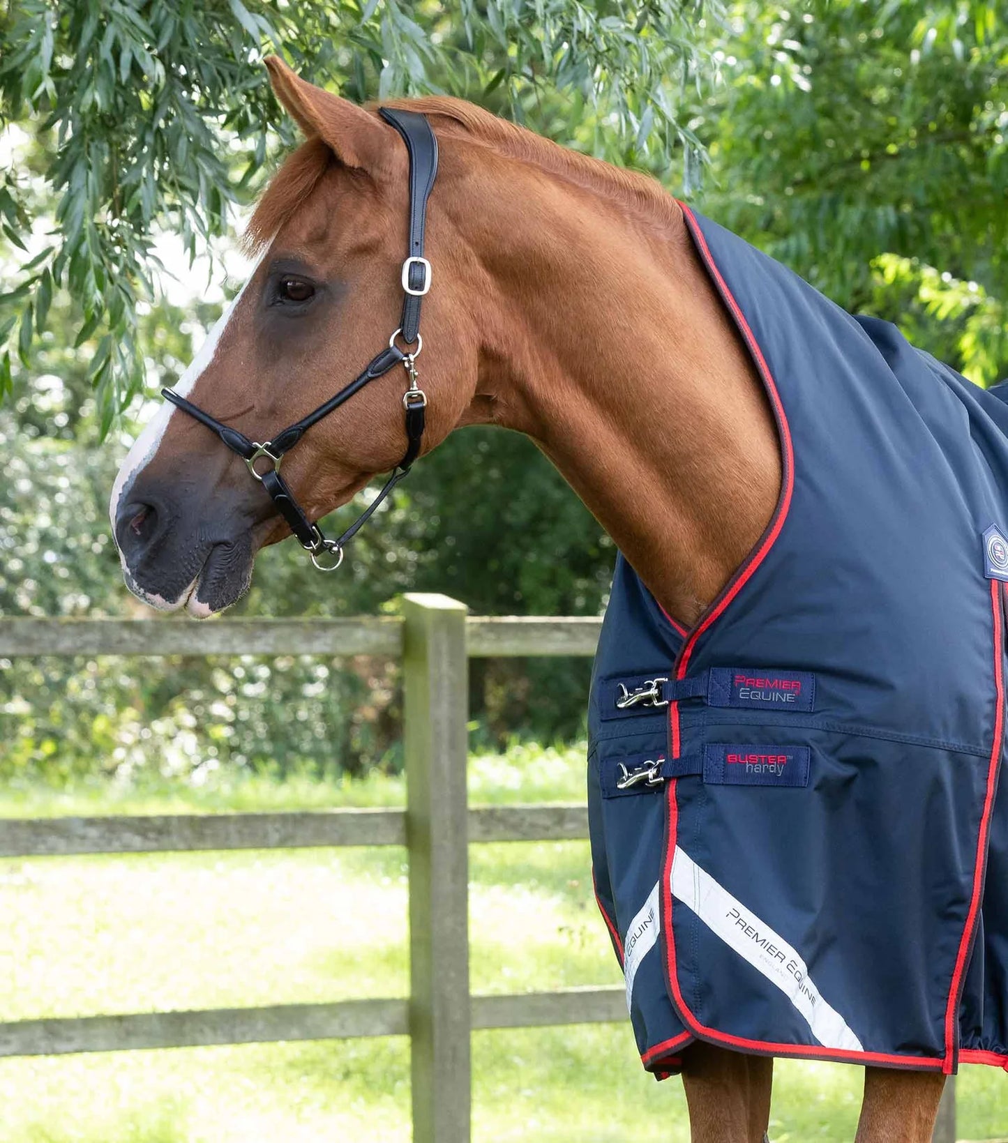 Premier Equine UK Buster Hardy 200g Half Neck Turnout Rug Navy