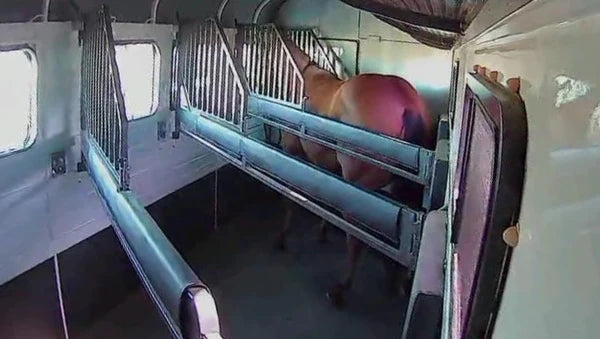 Equine Eye Voyager - Wireless Trailer Camera