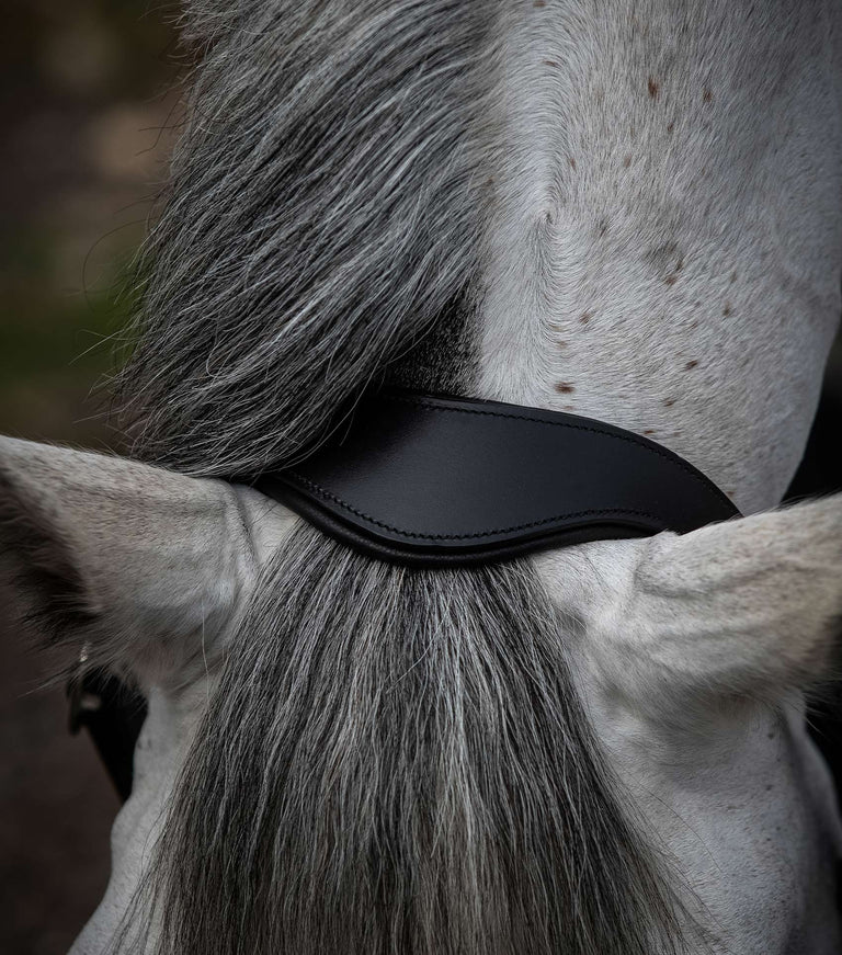 Premier Equine UK Hennaroso Rolled Anatomic Leather Halter Black