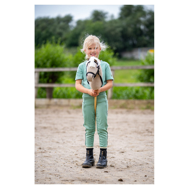 NEW - BR Mini Horse Hobby Horse - Goldy