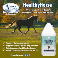 Omega Alpha Healthy Horse