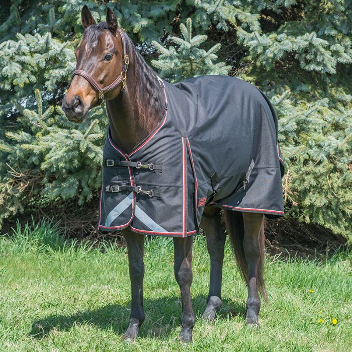 Canadian Horsewear Magnum Diablo 0g Rainsheet - Liner Compatible - Size 81" - Black
