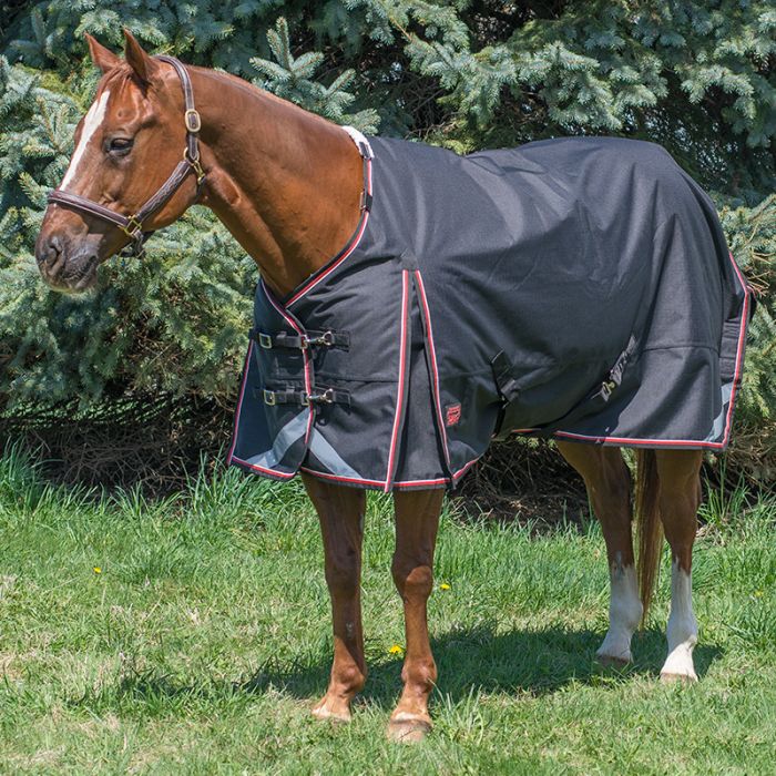 Canadian Horsewear Magnum Diablo 0g Rainsheet - Liner Compatible - Size 81" - Black