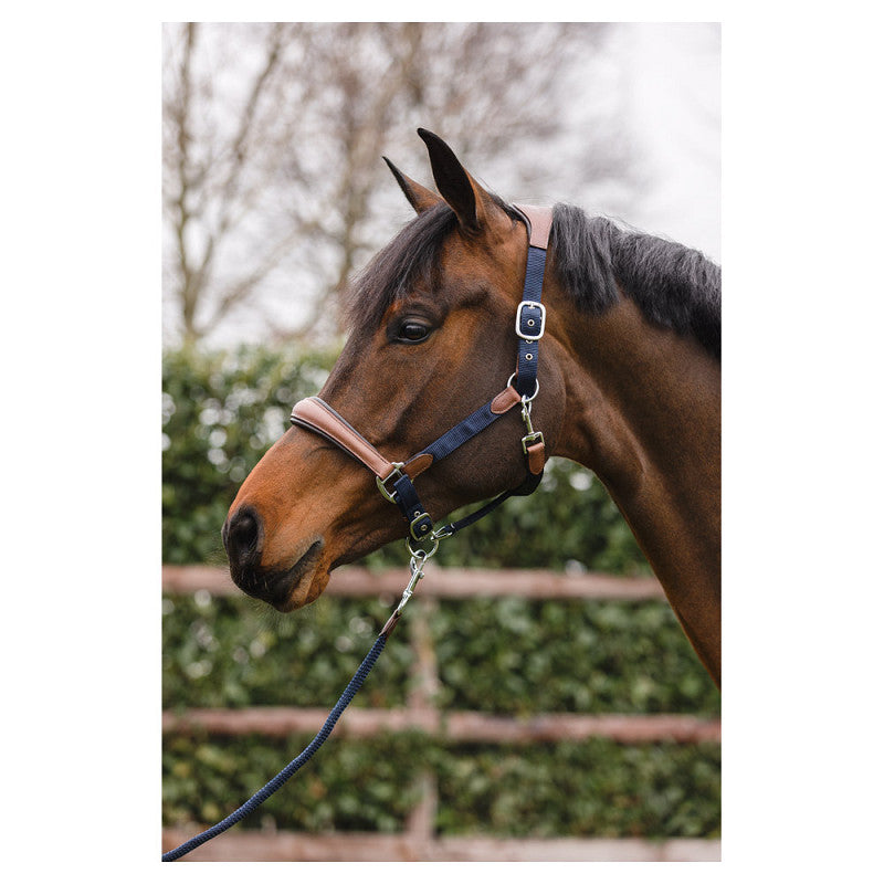 NEW - ANKY Halter ATH2207 with Lead - Nylon/Leather - Navy/Brown - Full