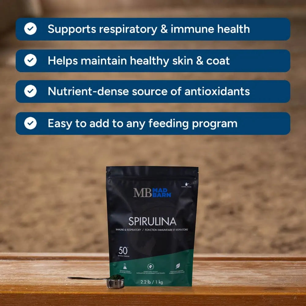Mad Barn Spirulina - 1kg (50 servings)