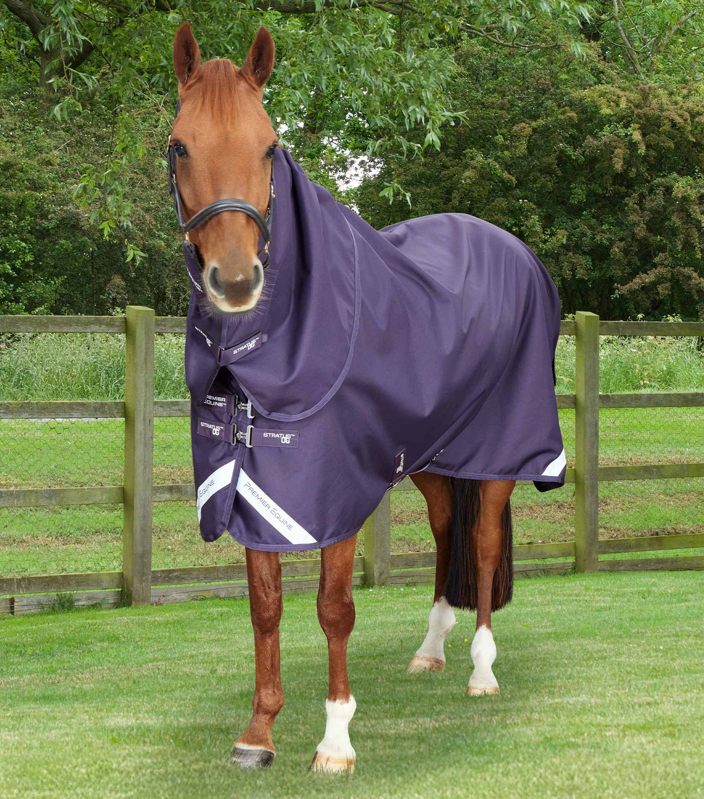 Premier Equine UK Stratus 1200 Series 0g Turnout Rug with Classic Neck Cover Purple - Special Order