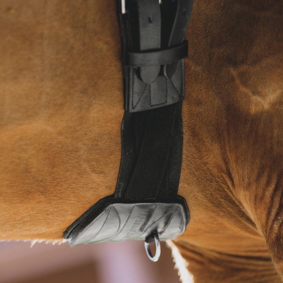 Tapestry Comfort Dressage/Monoflap Girth Sizes 24"- 34" Havana