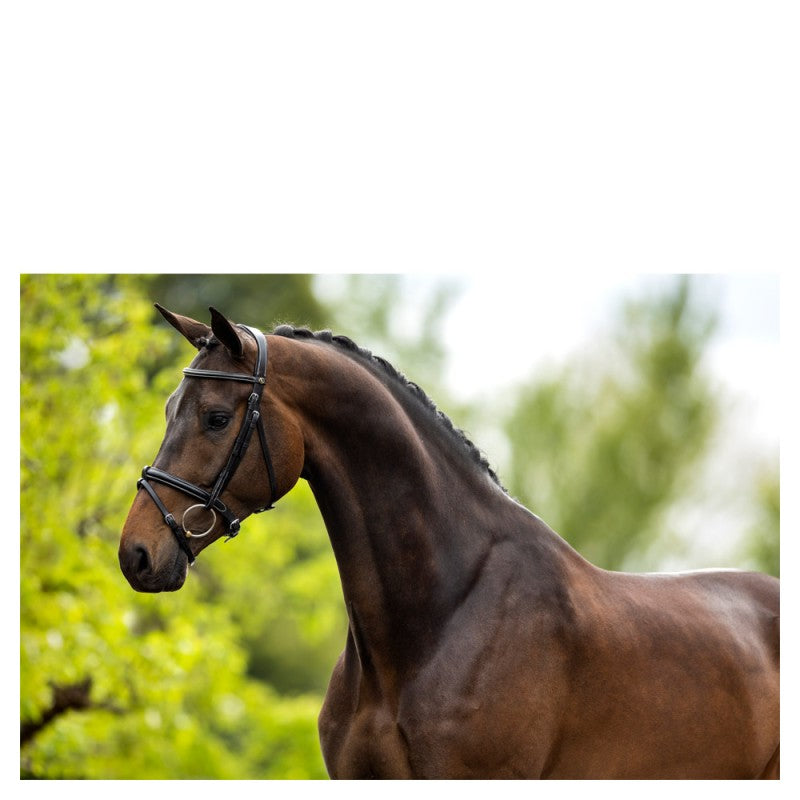 BR Kendal Bridle with Fully Removeable Flash Black/Silver