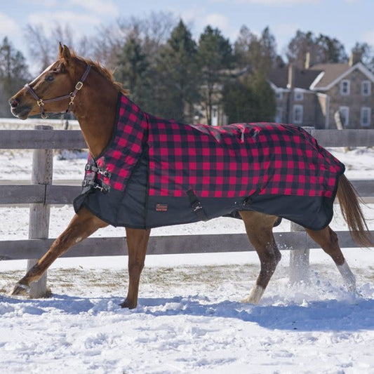 Canadian Horsewear Maxim Rain Sheet - Tartan/69"