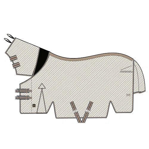 BR Clearance - BR Passion Fly Rug with Lycra and Attached Hood - Very Berry 205cm/81" - Limited Edition