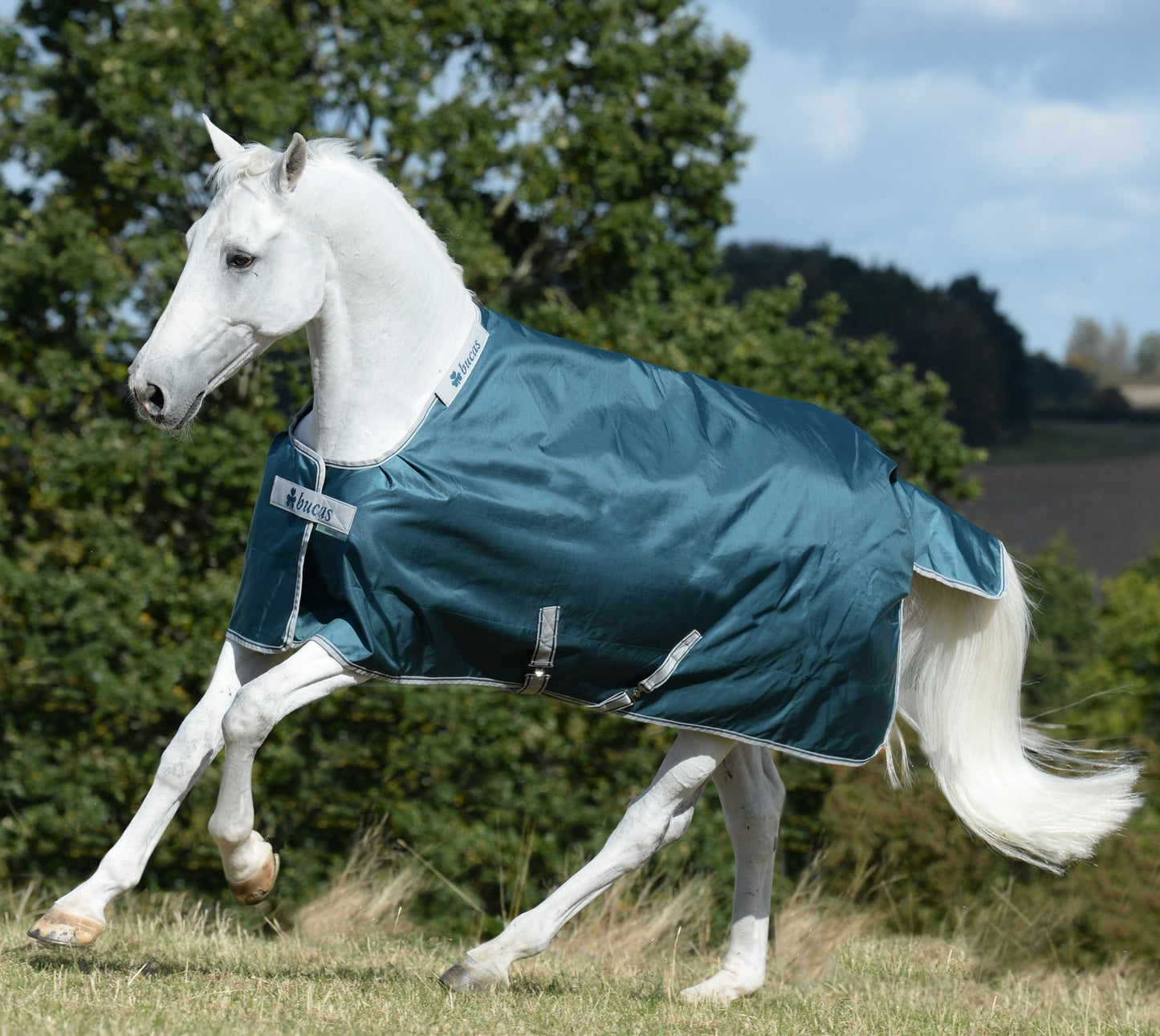 Bucas Atlantic Turnout - 400g or 200g or 50g