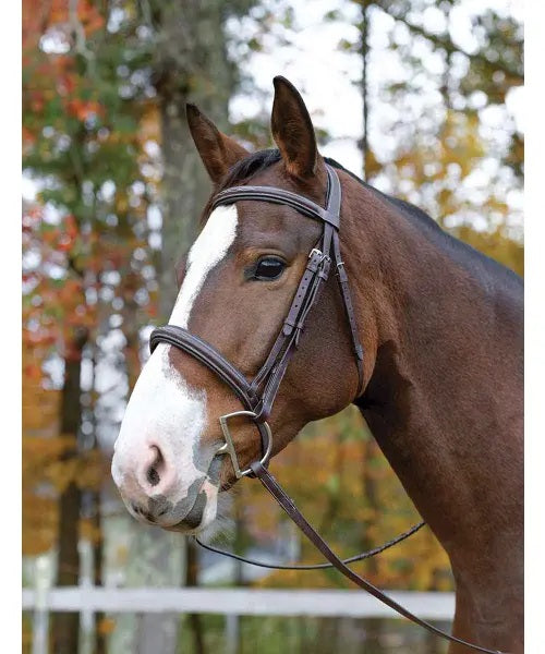 Blenheim Havana Brown Bridle Headpiece