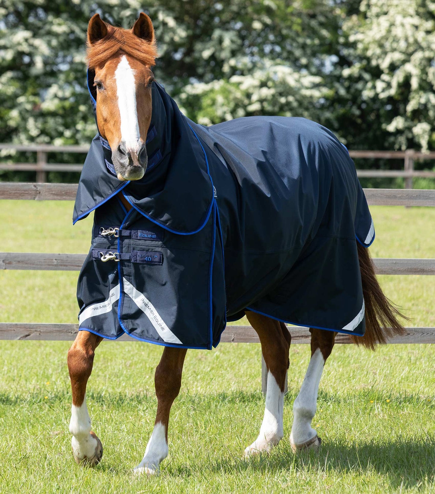 Premier Equine UK Buster 40g Turnout Rug with Classic Neck Cover Navy