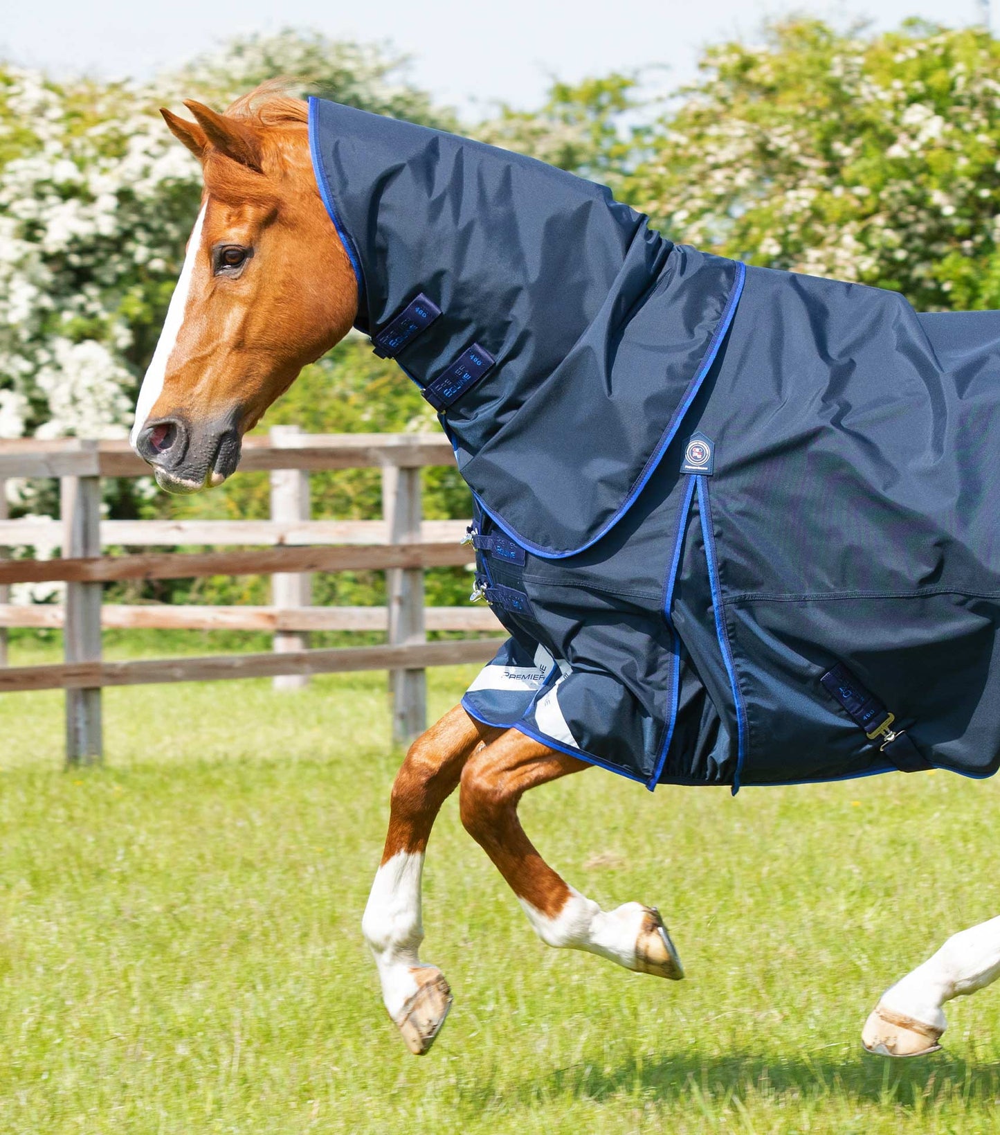 Premier Equine UK Buster 40g Turnout Rug with Classic Neck Cover Navy