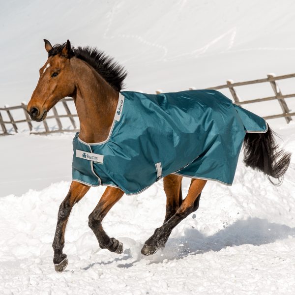 Bucas Atlantic Turnout - 400g or 200g or 50g
