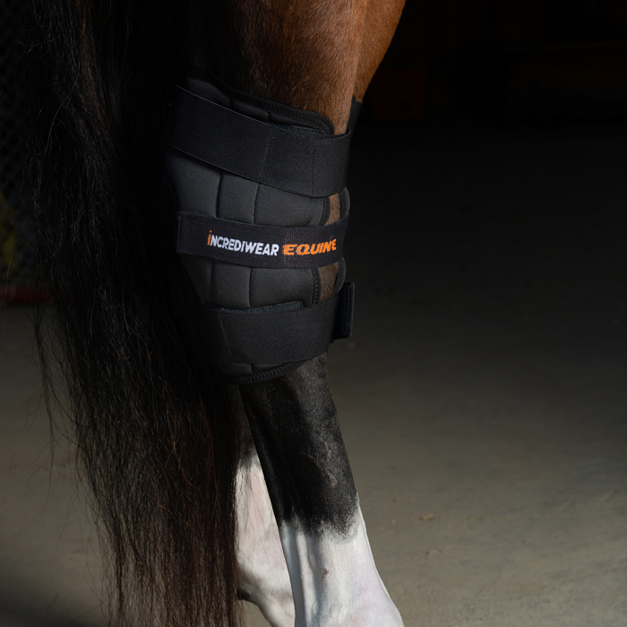 Incrediwear Equine Circulation Hock Boot (1 Boot, Right or Left)