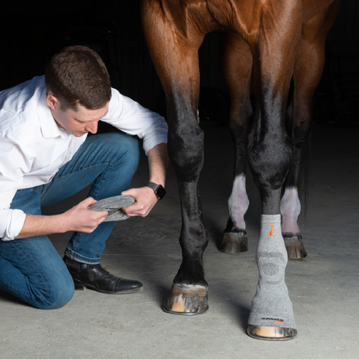 Incrediwear Equine Circulation Hoof Socks (Pair)