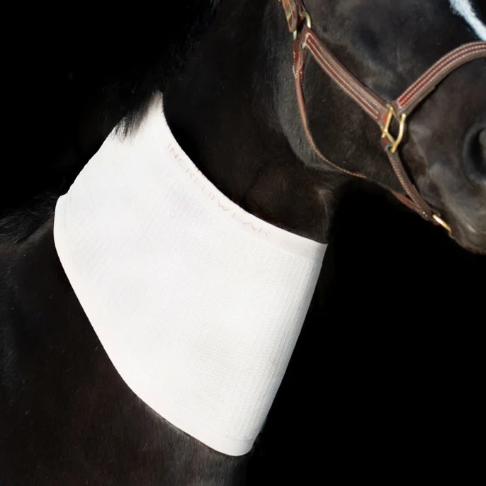 Incrediwear Equine Circulation Neck Sleeve