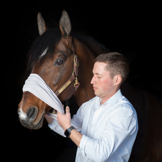 Incrediwear Equine Circulation Neck Sleeve