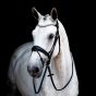 Stübben SWITCH BRIDLE – (Switches from Snaffle to Double!) MAGICTACK - Full Size Black
