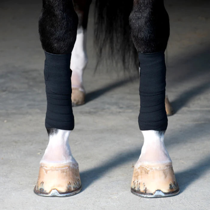 Incrediwear Equine Circulation Exercise Bandages - Limited Edition - BLACK Horse Size