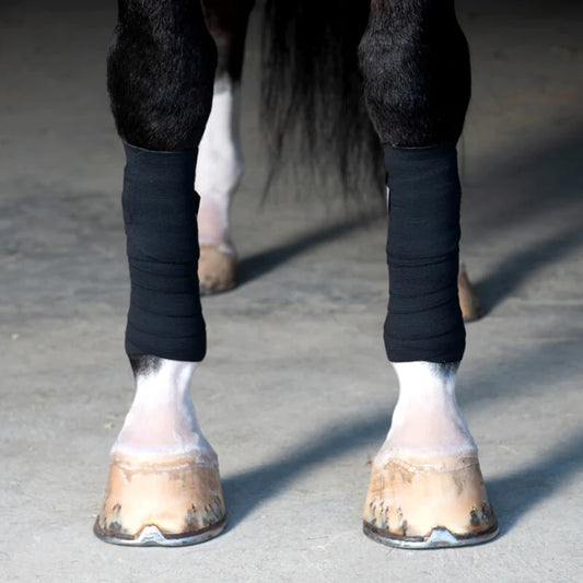 Incrediwear Equine Circulation Exercise Bandages - Limited Edition - BLACK Horse Size