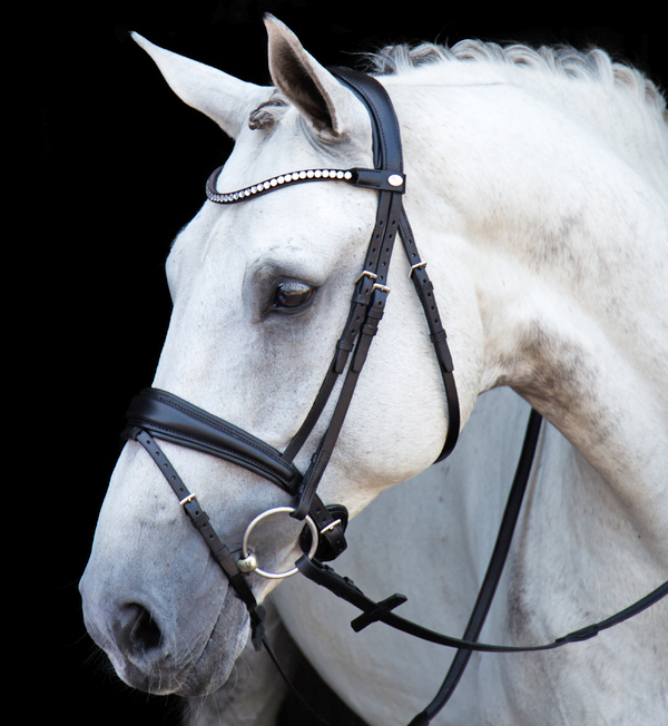Stübben SWITCH BRIDLE – (Switches from Snaffle to Double!) MAGICTACK - Full Size Black