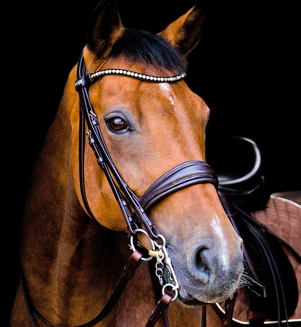 Stübben SWITCH BRIDLE – (Switches from Snaffle to Double!) MAGICTACK - Full Size Black