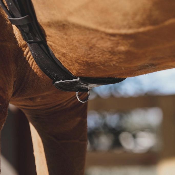 Tapestry Equine Comfort Pony Dressage/Monoflap Girth Sizes 20"-22" Black