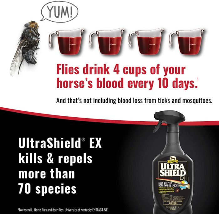 Ultra Shield Ex Fly Spray with Sprayer - 950ml