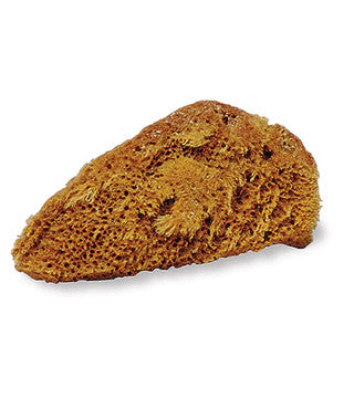 Natural Sea Sponge - Small