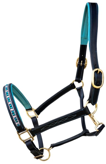 Sage Family Leather Lined Halter Glam Collection Black with Turquoise Crystals Full