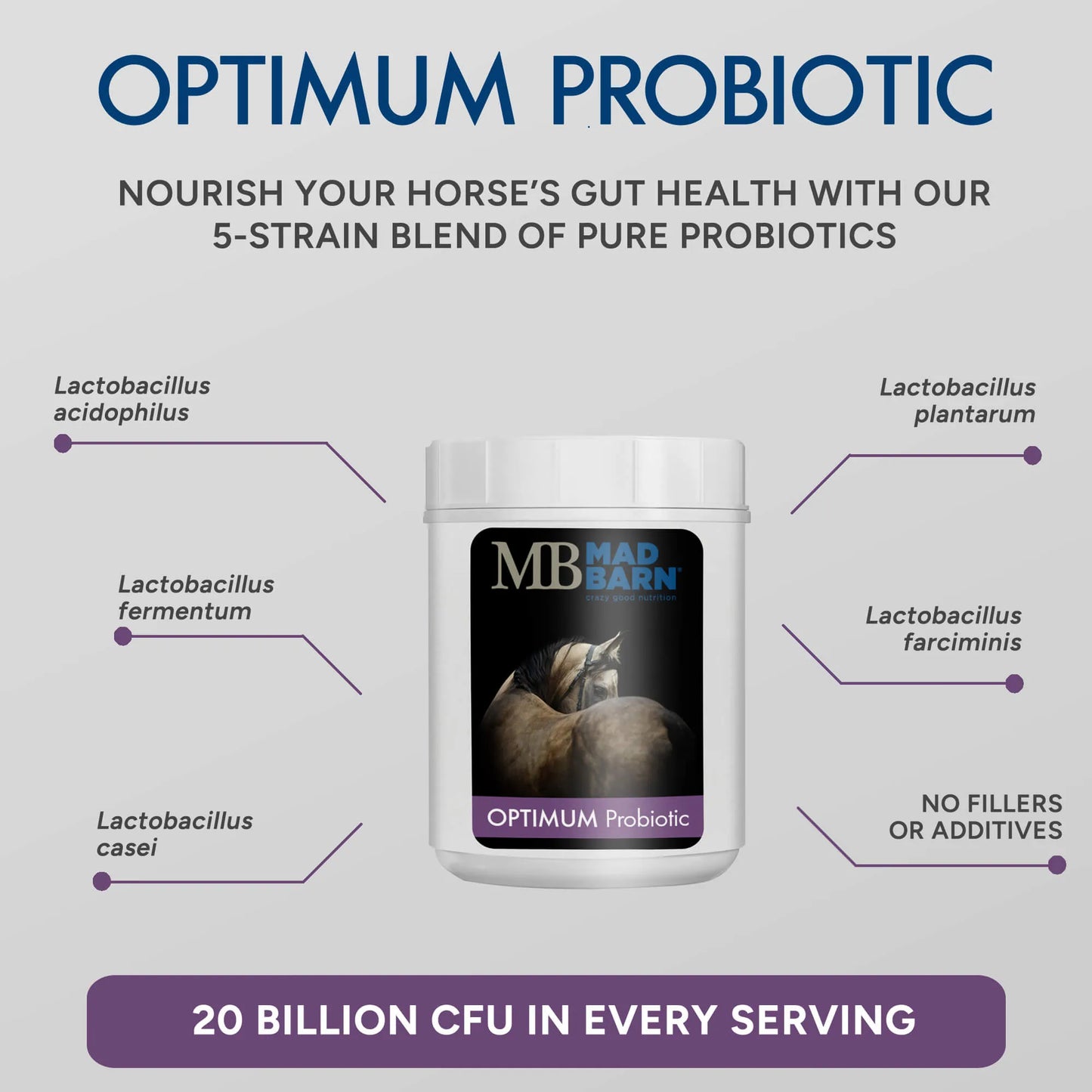Optimum Probiotic - 60g Foil Pouch