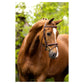 BR Kendal Bridle with Fully Removeable Flash Oak/Silver