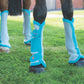 Shires ARMA Fly Boots - Teal - Full and Cob Size