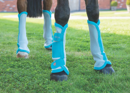 Shires ARMA Fly Boots - Teal - Full and Cob Size