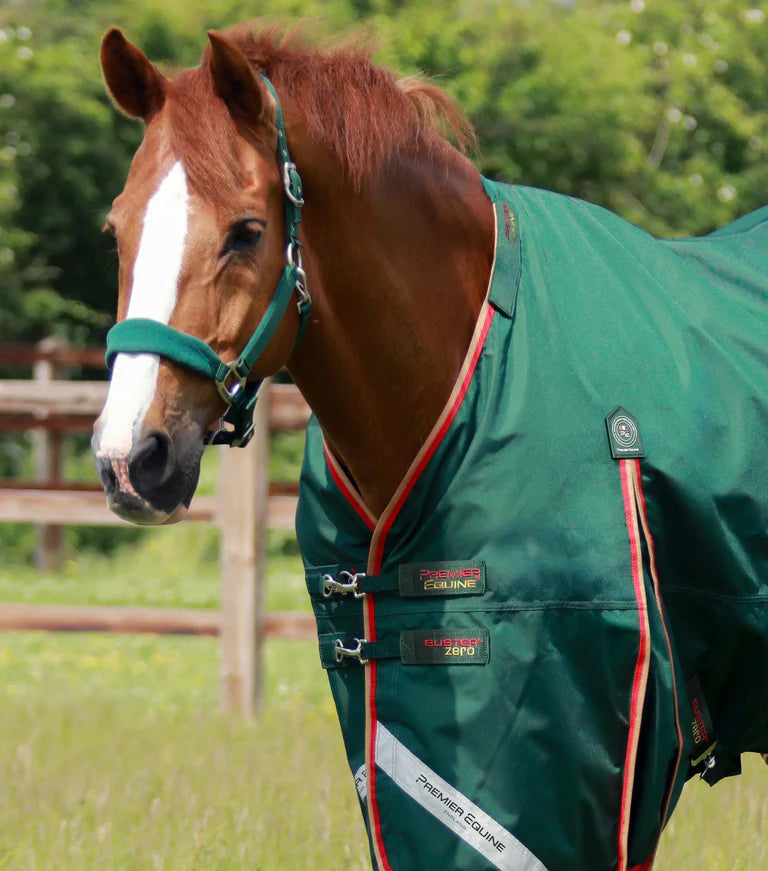 Premier Equine UK Buster 0g Turnout Rug with Classic Neck Cover Green