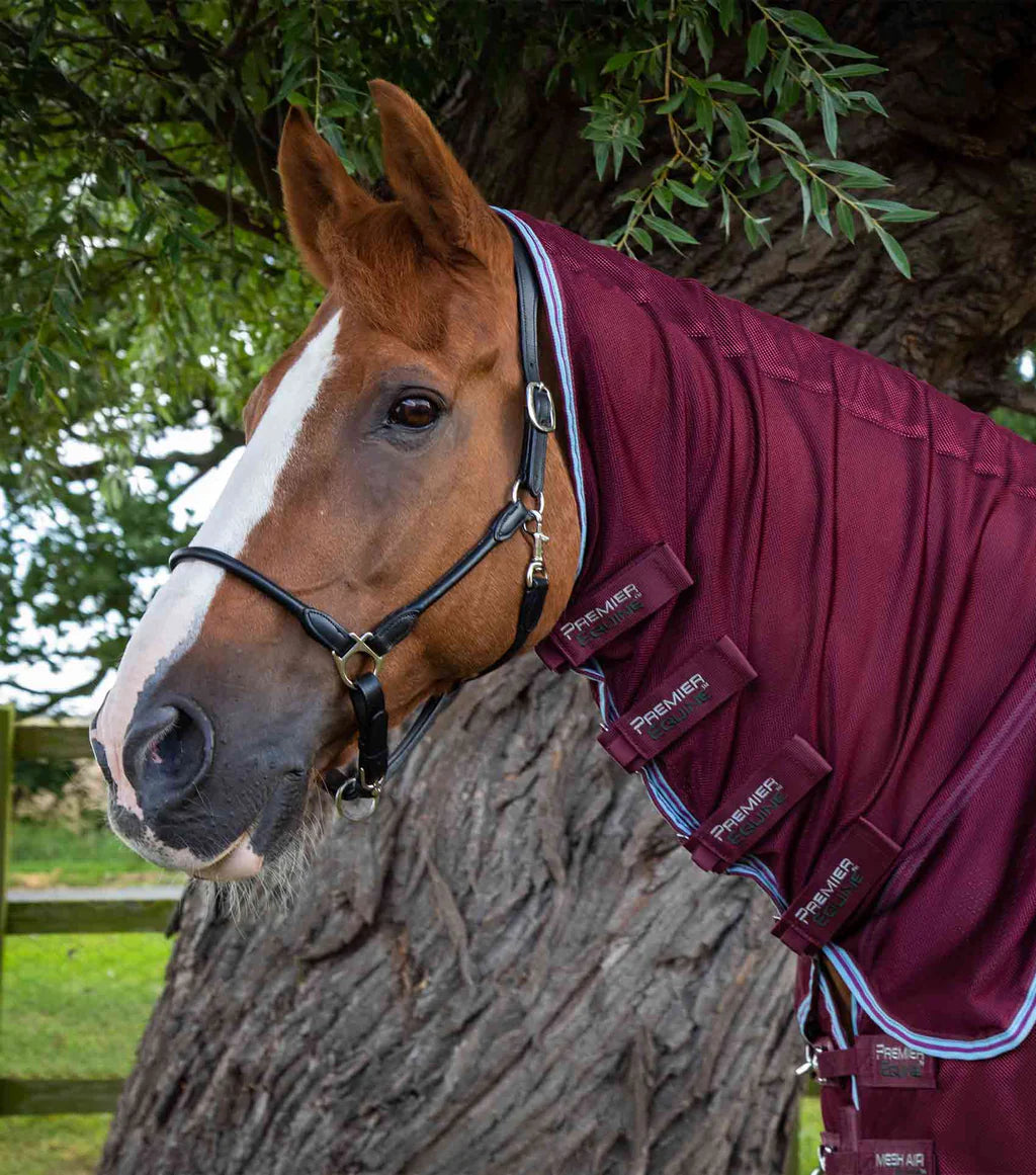 Premier Equine UK Combo Mesh Air Fly Rug with Surcingles - Wine